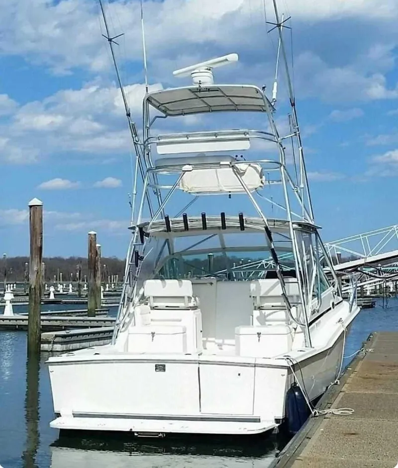 Slide: The Image of 1998 Cabo 31 Express boat docked at marina under blue sky. - 16