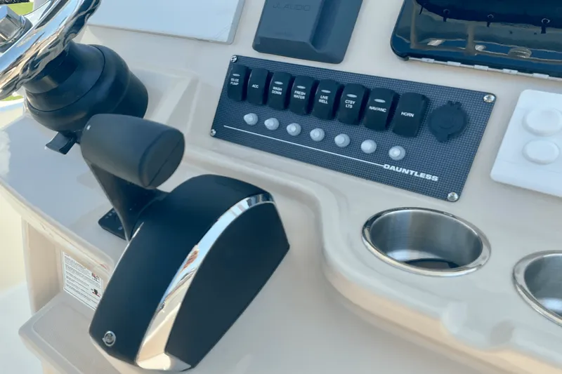 Slide: The Image of Boston Whaler 250 Dauntless 2026 - 15