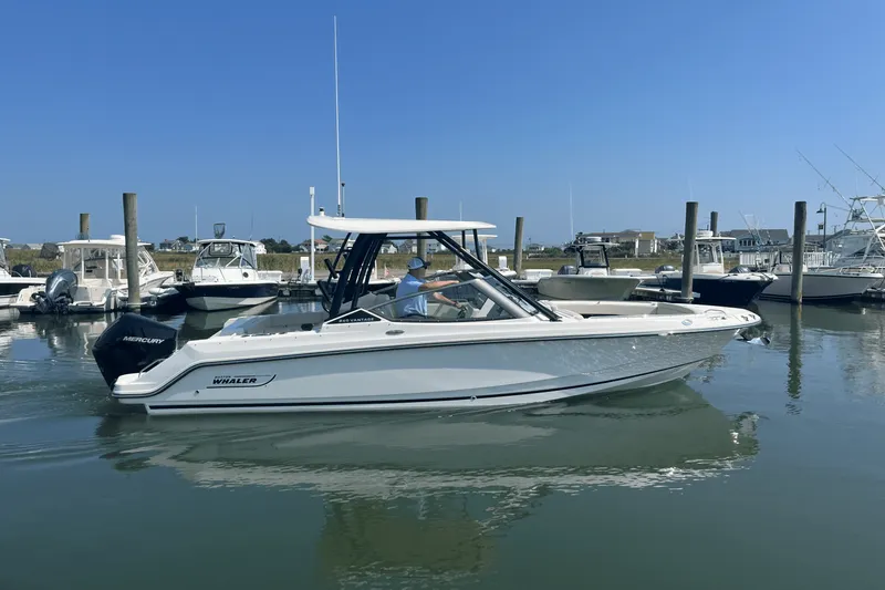 The Image of Boston Whaler 240 Vantage 2026 - 0