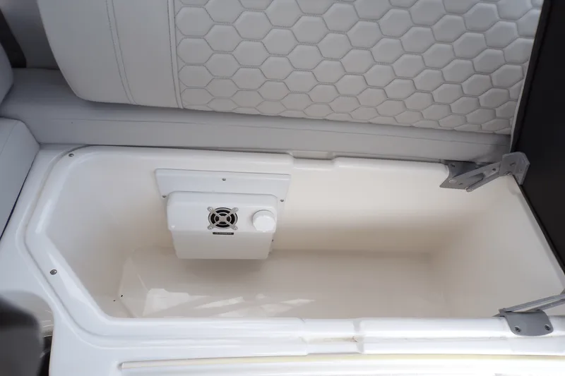 Slide: The Image of Sea Ray 290 SDX-OB 2023 - 33