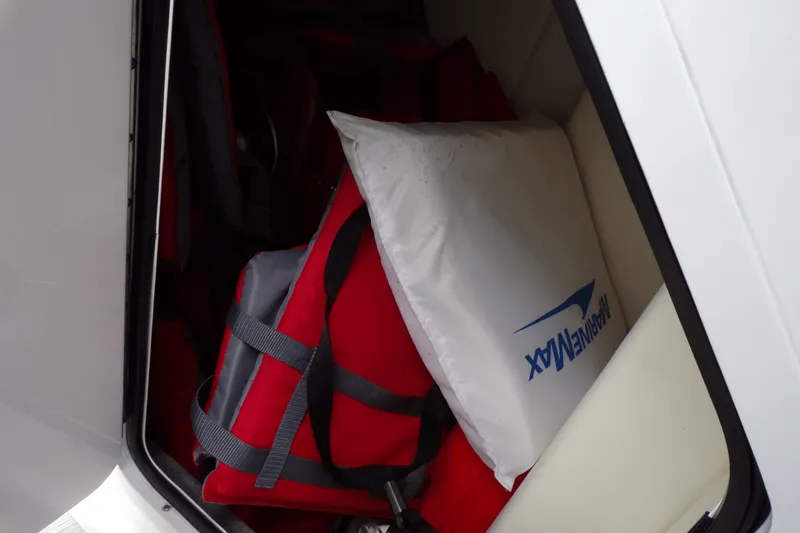 Slide: The Image of Sea Ray 290 SDX-OB 2023 - 44