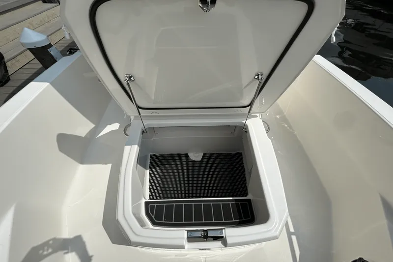 Slide: The Image of Boston Whaler 220 Dauntless 2026 - 19