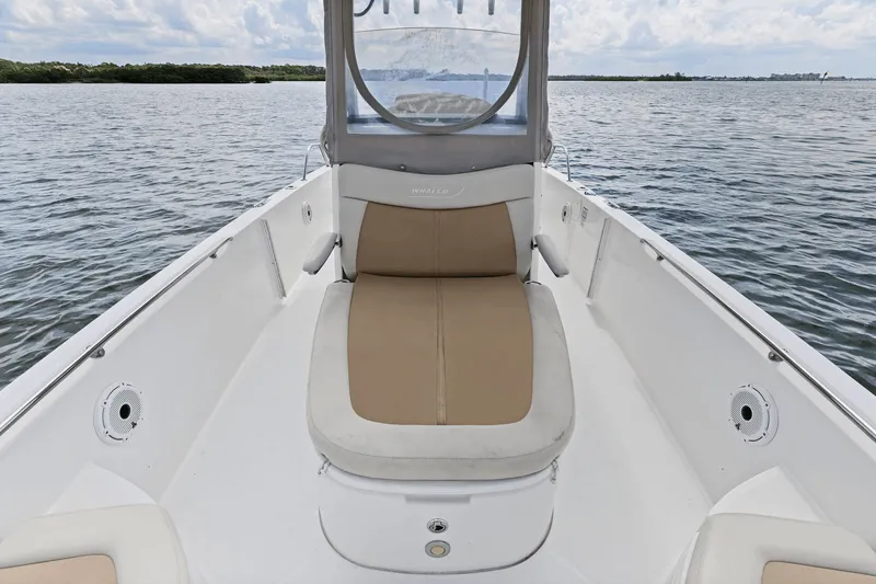 Slide: The Image of Boston Whaler 270 DAUNTLESS 2018 - 38