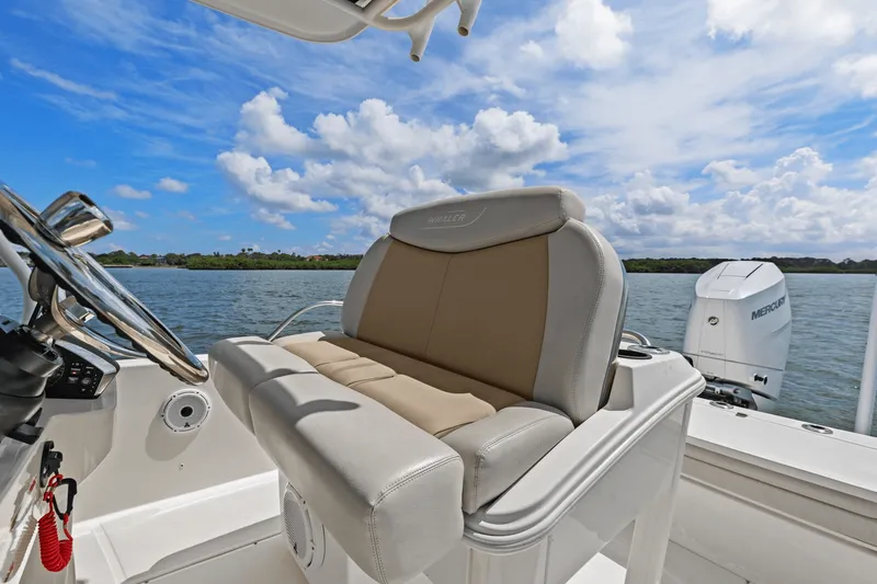 Slide: The Image of Boston Whaler 270 DAUNTLESS 2018 - 46