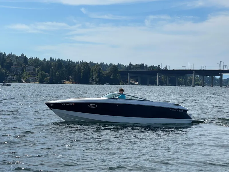 The Image of Cobalt 255 2004 - 1