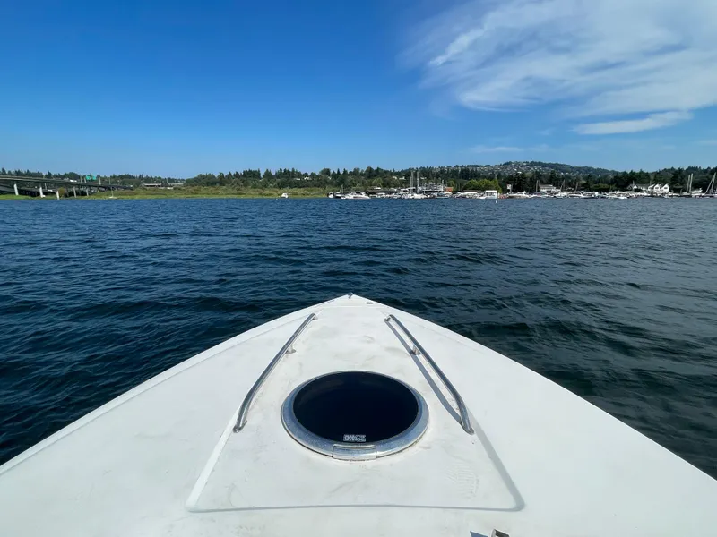 Slide: The Image of Cobalt 255 2004 - 16