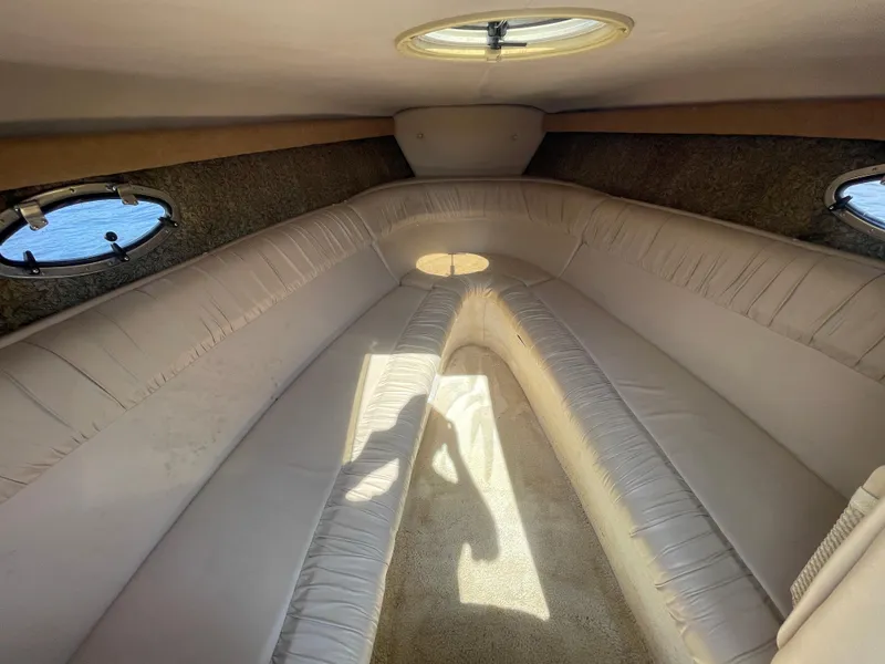 Slide: The Image of Cobalt 255 2004 - 17