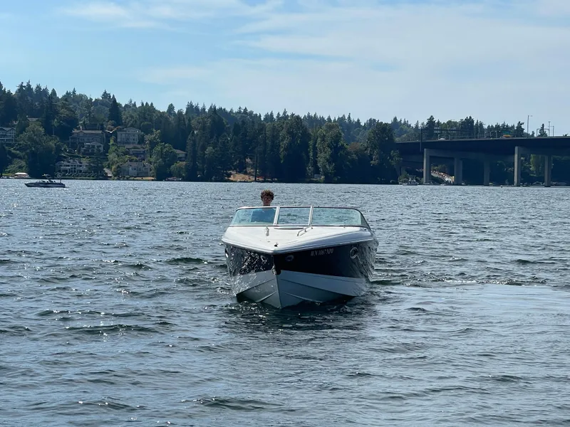 Slide: The Image of Cobalt 255 2004 - 3