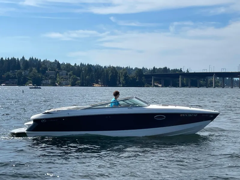 Slide: The Image of Cobalt 255 2004 - 5