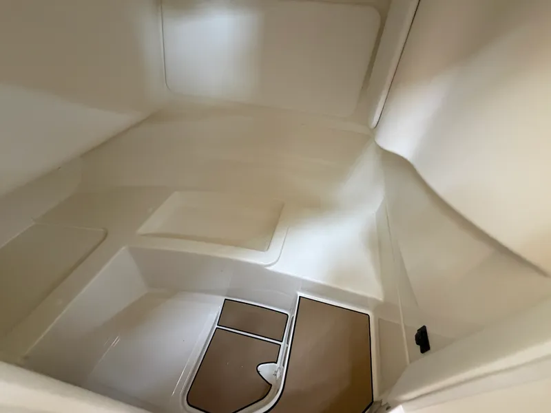 Slide: The Image of Sea Ray SDX 230 2026 - 47