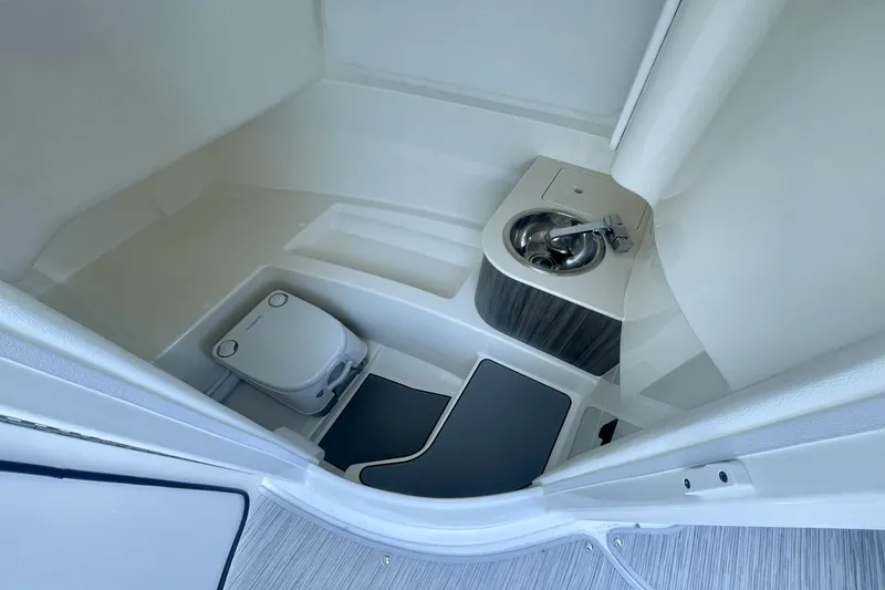 Slide: The Image of Sea Ray SDX 250 Outboard 2026 - 12