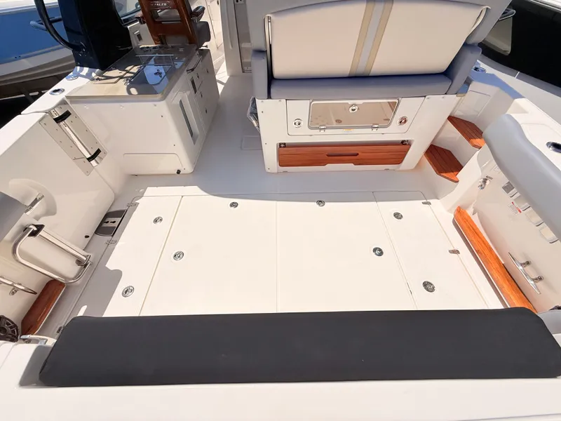 Slide: The Image of Boston Whaler 380 Realm 2026 - 13