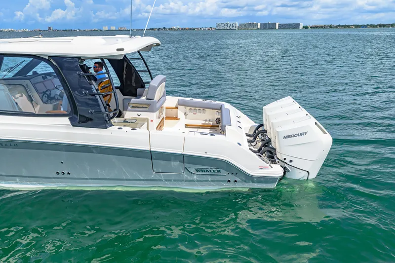 Slide: The Image of Boston Whaler 380 Realm 2026 - 11