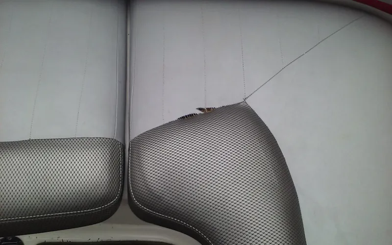 Slide: The Image of Torn upholstery on 2006 MasterCraft X-Star SS boat seat. - 18