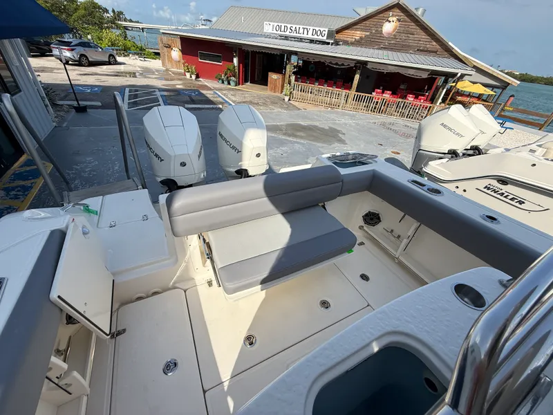 Slide: The Image of Boston Whaler 250 Outrage 2027 - 26