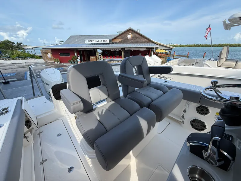 Slide: The Image of Boston Whaler 250 Outrage 2027 - 16