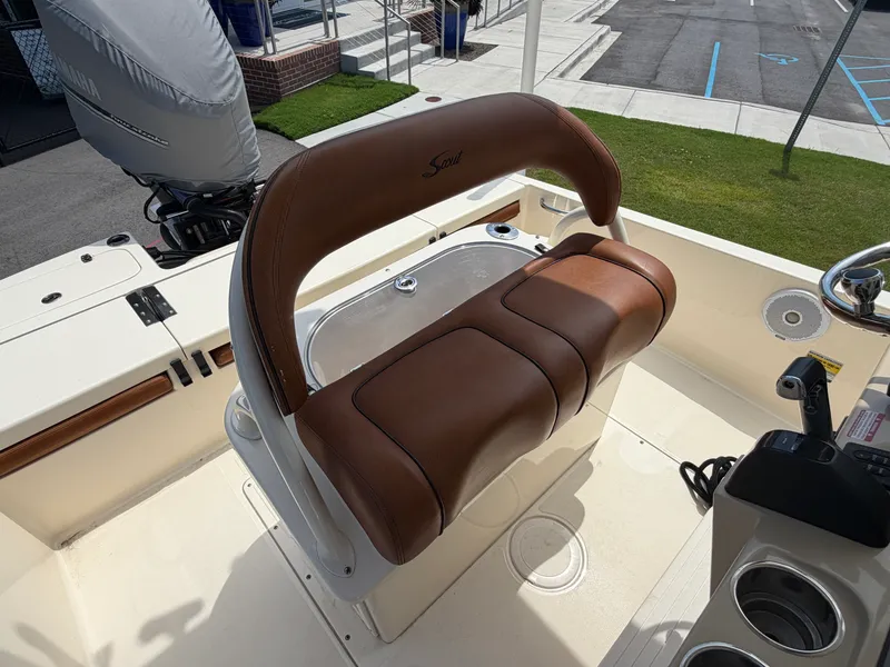 Slide: The Image of Scout 251 XS 2017 - 6