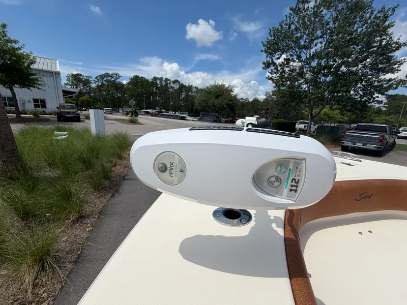 Slide: The Image of Scout 251 XS 2017 - 23