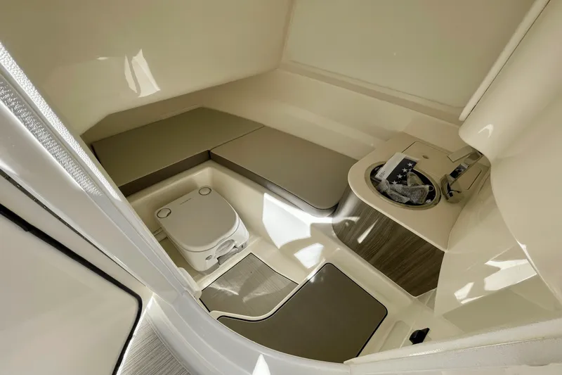 Slide: The Image of Sea Ray SDX 250 Outboard 2026 - 12