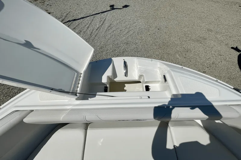 Slide: The Image of Sea Ray SDX 250 Outboard 2026 - 17