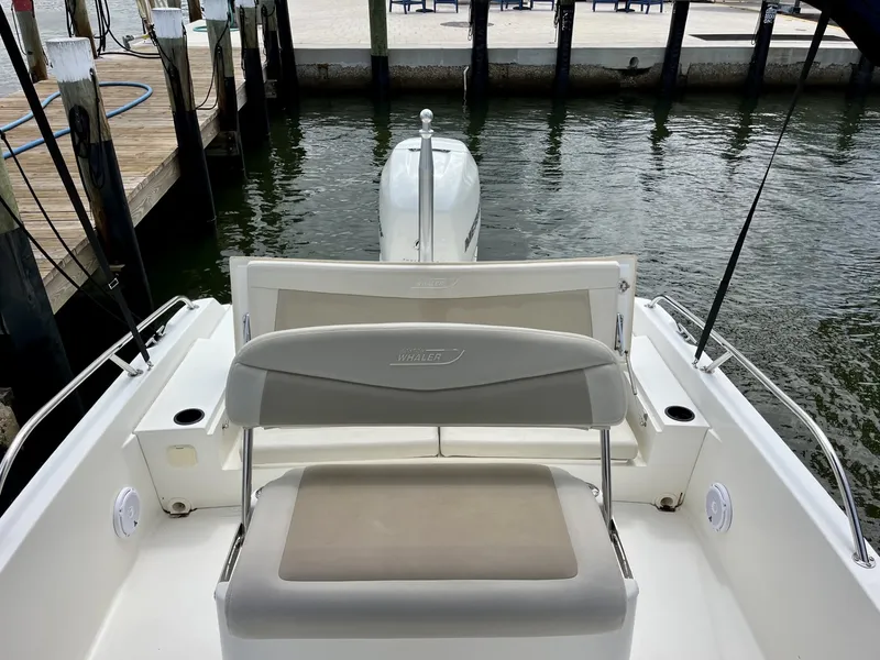 Slide: The Image of Boston Whaler 240 DAUNTLESS 2017 - 12