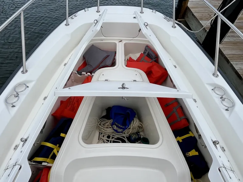 Slide: The Image of Boston Whaler 240 DAUNTLESS 2017 - 10