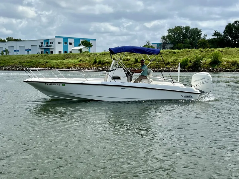 Slide: The Image of Boston Whaler 240 DAUNTLESS 2017 - 8