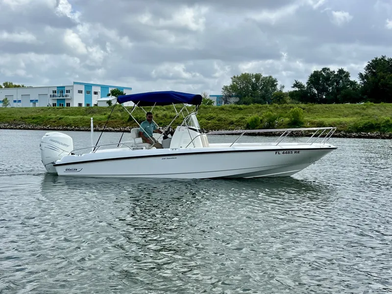 The Image of Boston Whaler 240 DAUNTLESS 2017 - 0