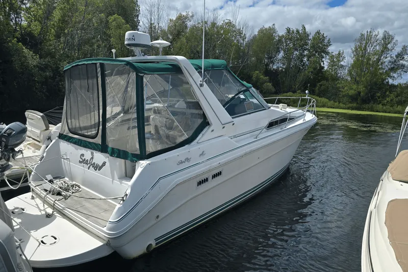 The Image of Sea Ray 310 SUNDANCER 1991 - 0