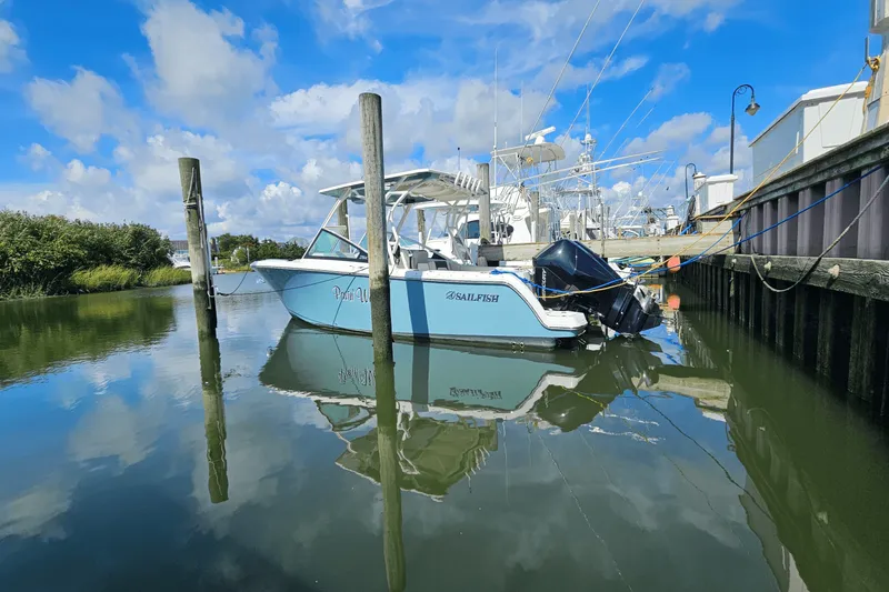 Slide: The Image of Sailfish 276 DC 2023 - 2