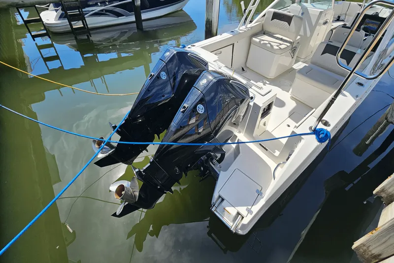 Slide: The Image of Sailfish 276 DC 2023 - 3