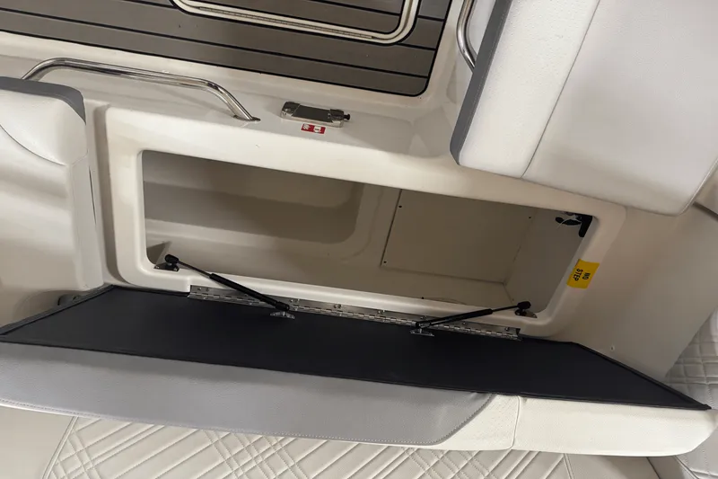 Slide: The Image of Sea Ray SDX 230 2026 - 25