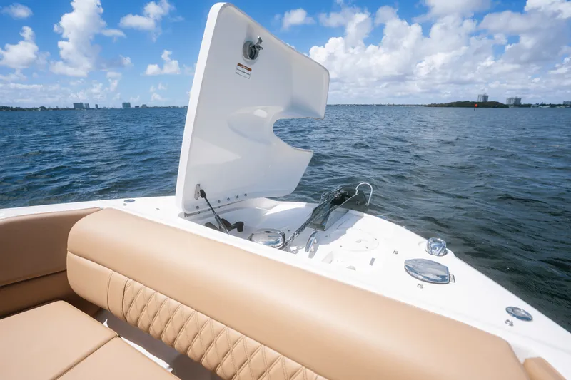 Slide: The Image of Sea Ray 350 SLX 2024 - 19