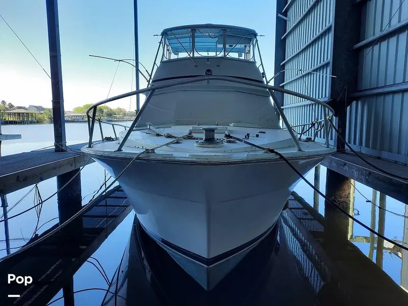 Slide: The Image of 1976 Bertram 42 for sale in Slidell, LA - 1