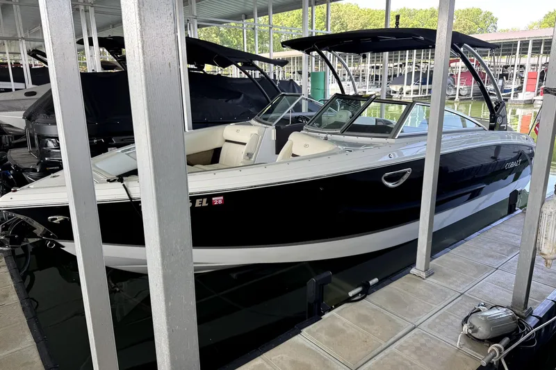 The Image of Cobalt R7 2019 - 0