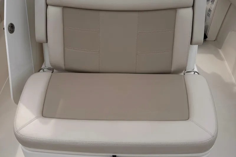 Slide: The Image of Boston Whaler 250 Outrage 2019 - 37