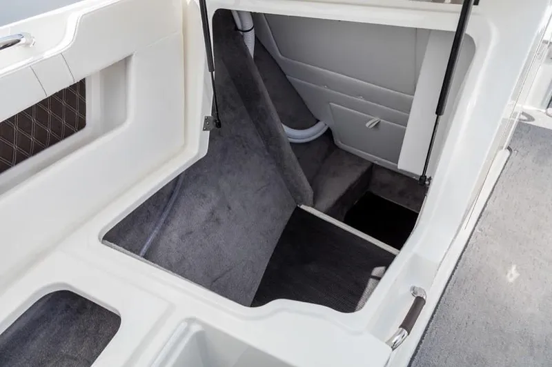 Slide: The Image of Sea Ray 310 SLX 2025 - 12