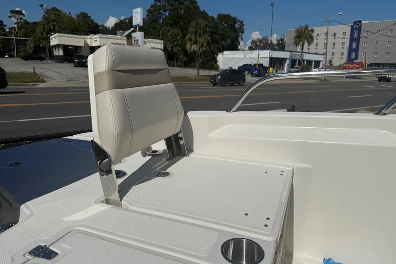 Slide: The Image of Boston Whaler 250 Dauntless 2026 - 24
