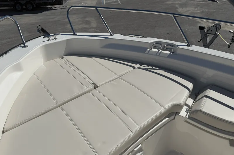 Slide: The Image of Boston Whaler 250 Dauntless 2026 - 28