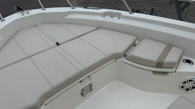 Slide: The Image of Boston Whaler 250 Dauntless 2026 - 36