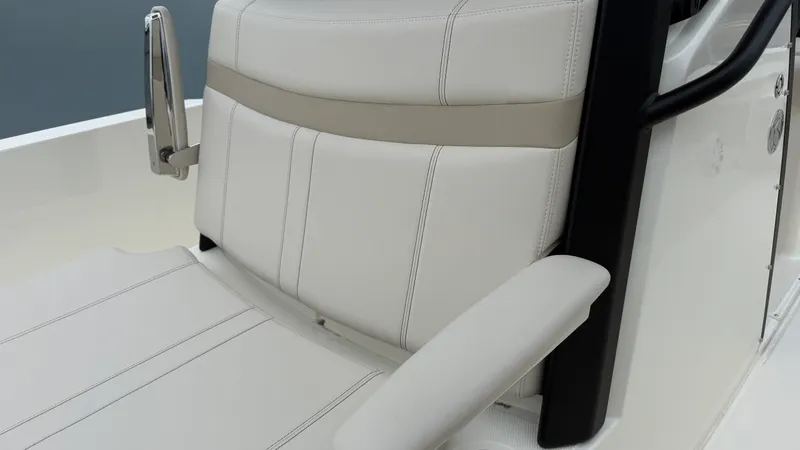 Slide: The Image of Boston Whaler 250 Dauntless 2026 - 41