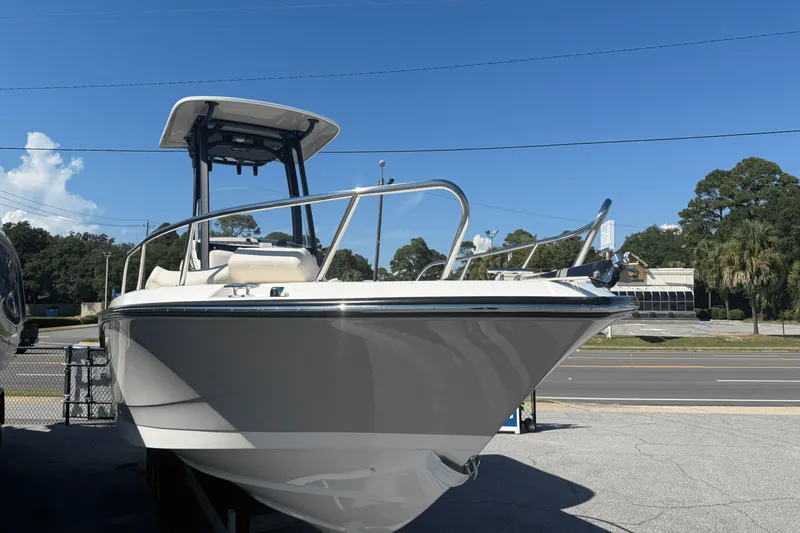 Slide: The Image of Boston Whaler 250 Dauntless 2026 - 5