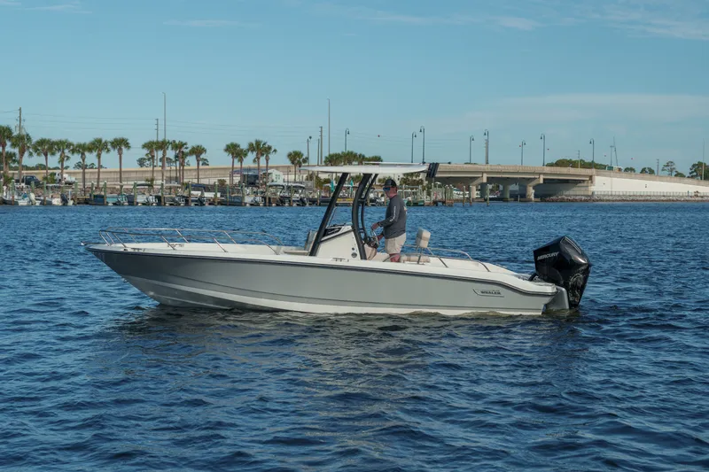 The Image of Boston Whaler 250 Dauntless 2026 - 0