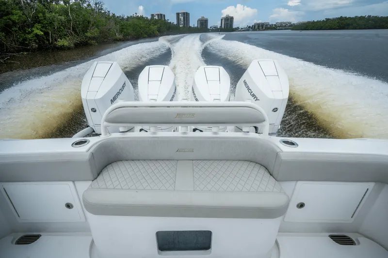 Slide: The Image of Jupiter 43 2024 - 16