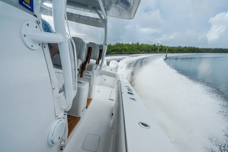 Slide: The Image of Jupiter 43 2024 - 18