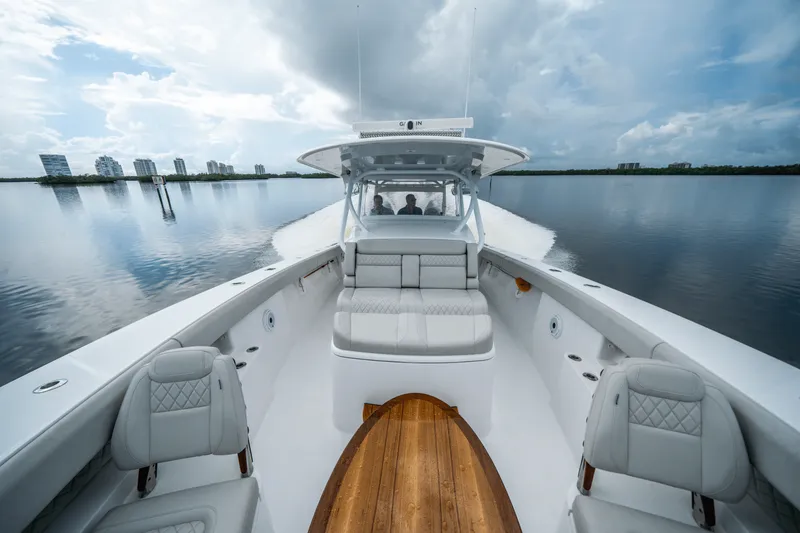 Slide: The Image of Jupiter 43 2024 - 19