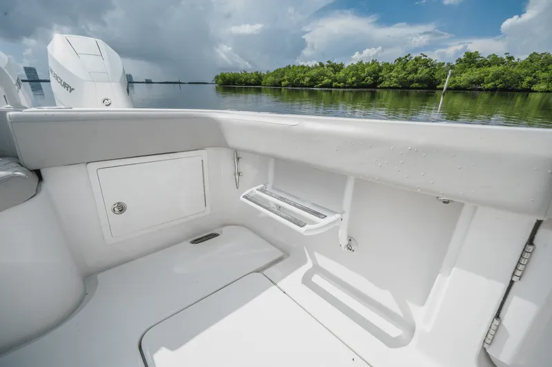 Slide: The Image of Jupiter 43 2024 - 28