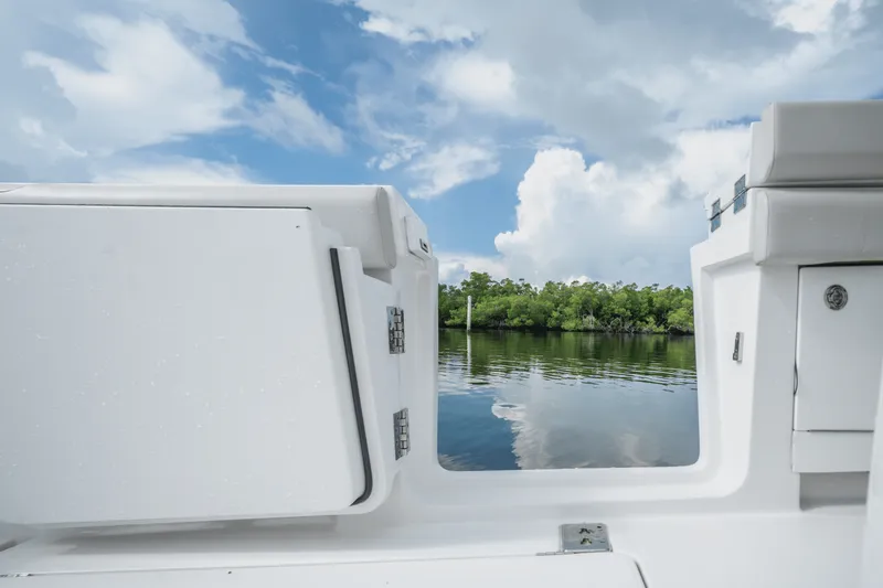 Slide: The Image of Jupiter 43 2024 - 29