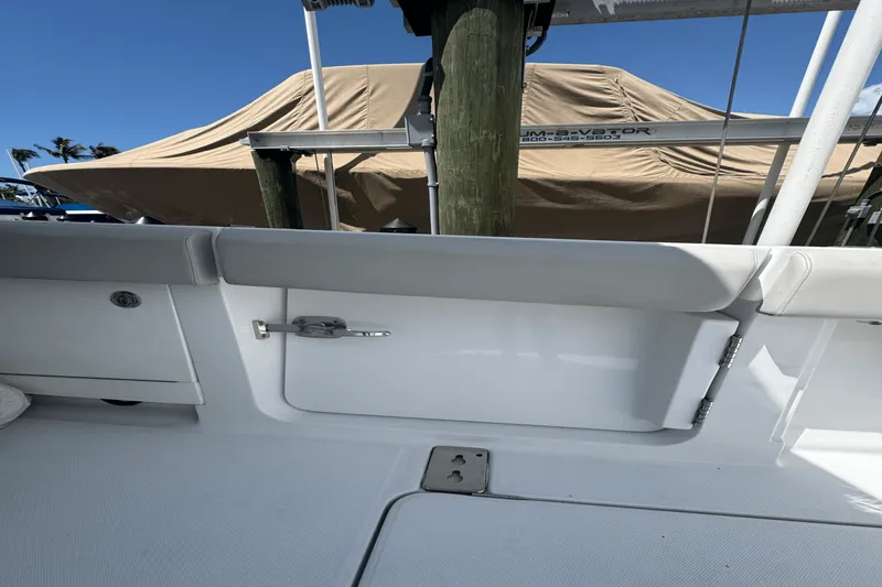 Slide: The Image of Jupiter 43 2024 - 4