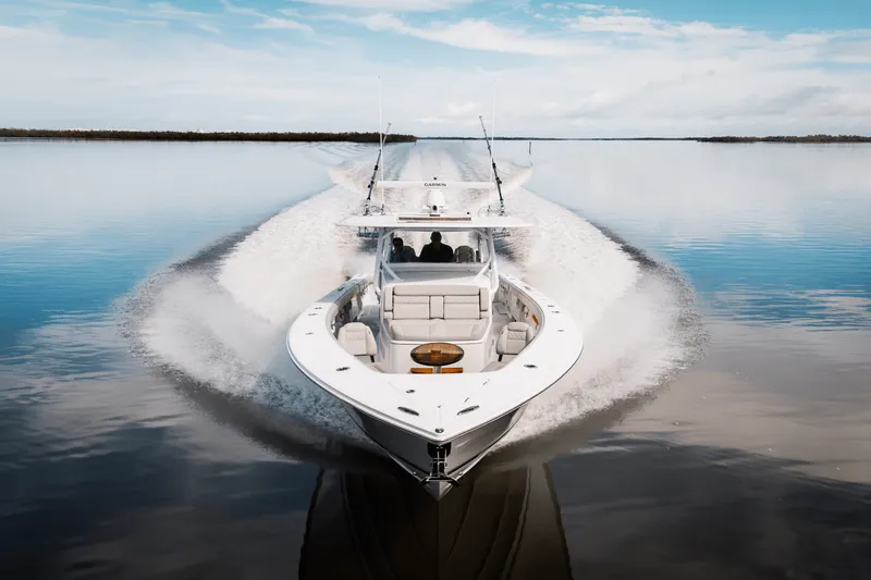 Slide: The Image of Jupiter 43 2024 - 50